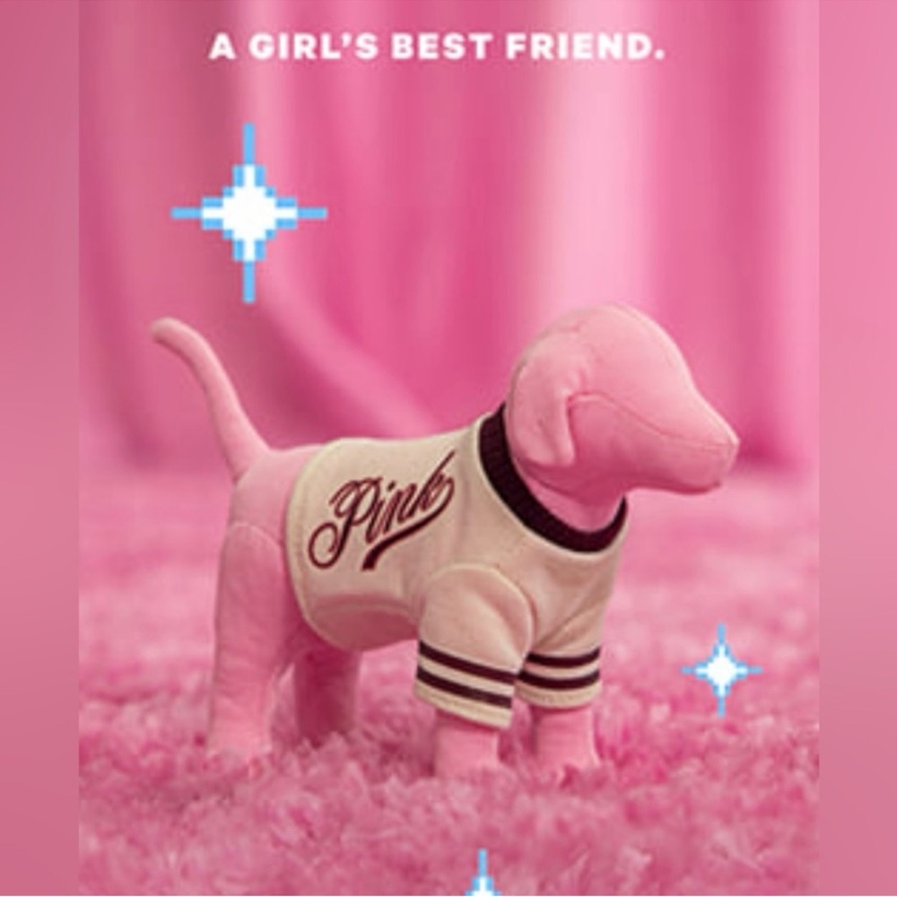 Victoria’s Secret PINK mini dog